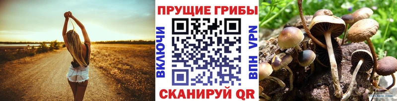 Псилоцибиновые грибы мухоморы  Первоуральск 